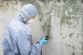 Best Mold Prevention Services in Troy, AL